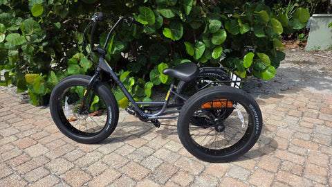 Adult Trike