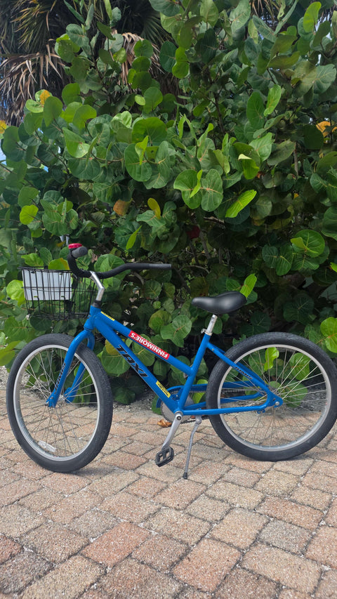 One Speed Bike